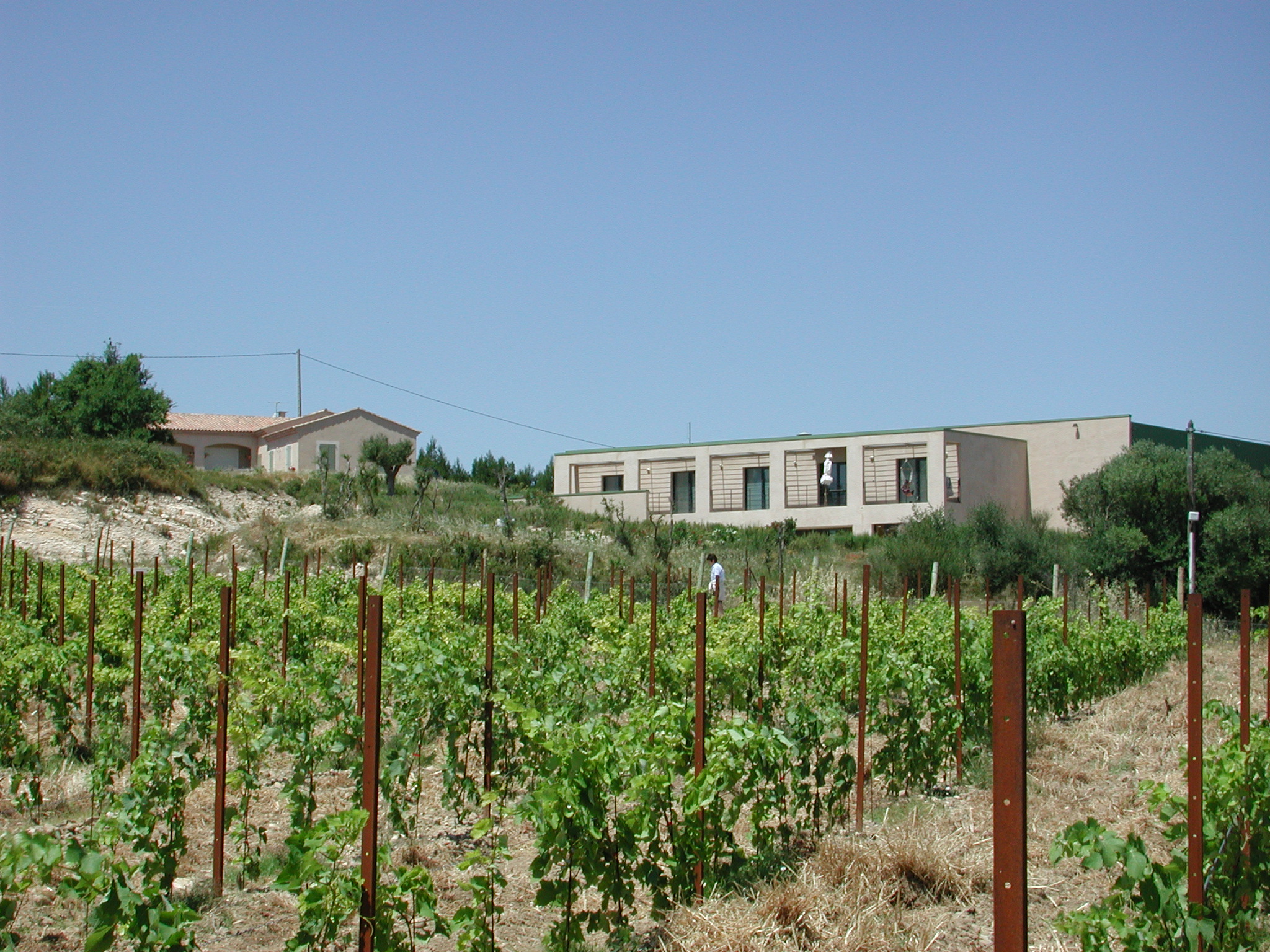 Domaine des 2 Ânes les vins d'auteurs